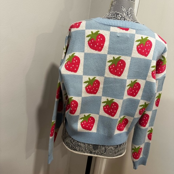 NWT Luna Ivy Anthropologie Strawberry and Blue Checker. Crew Neck Oversized Sm - Picture 15 of 16